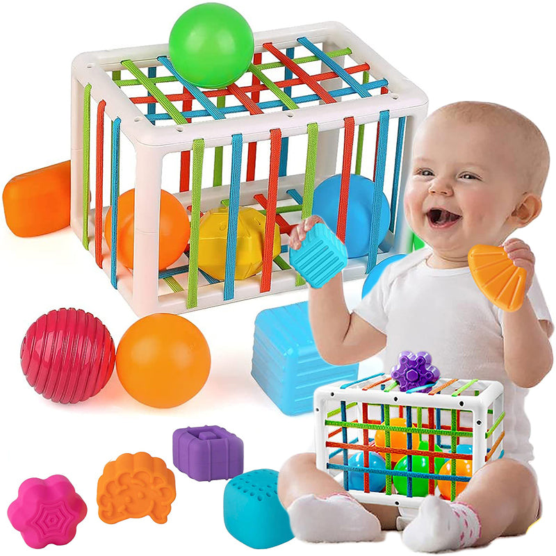 Montessori Baby Fine Motor Training Toy