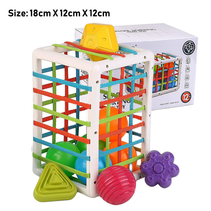 Montessori Baby Fine Motor Training Toy
